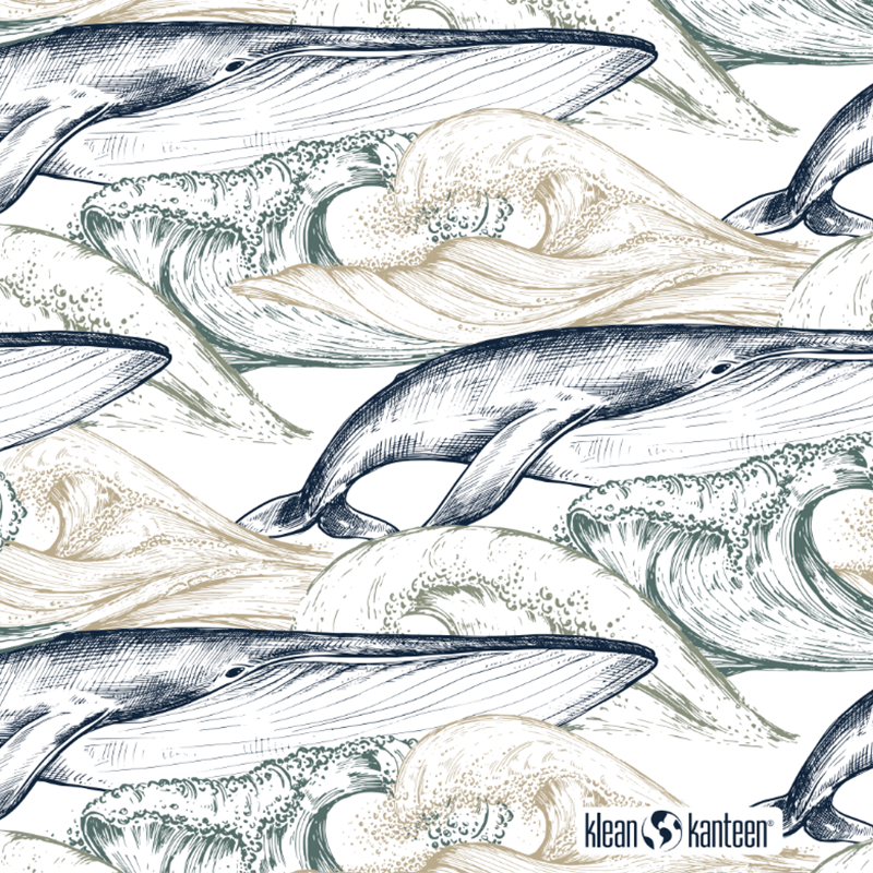 20oz-tkwide-with-twist-cap-ocean-day-u5 20oz_tkwide_bottle_seasonal_ocean_day_whale_artwork_square.png