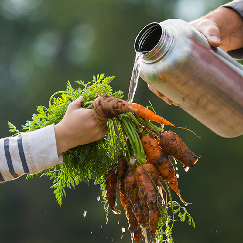 64oz-wide-with-loop-cap-o6 64oz_wide_mouth_bottle_carrots_rinse_square.jpg