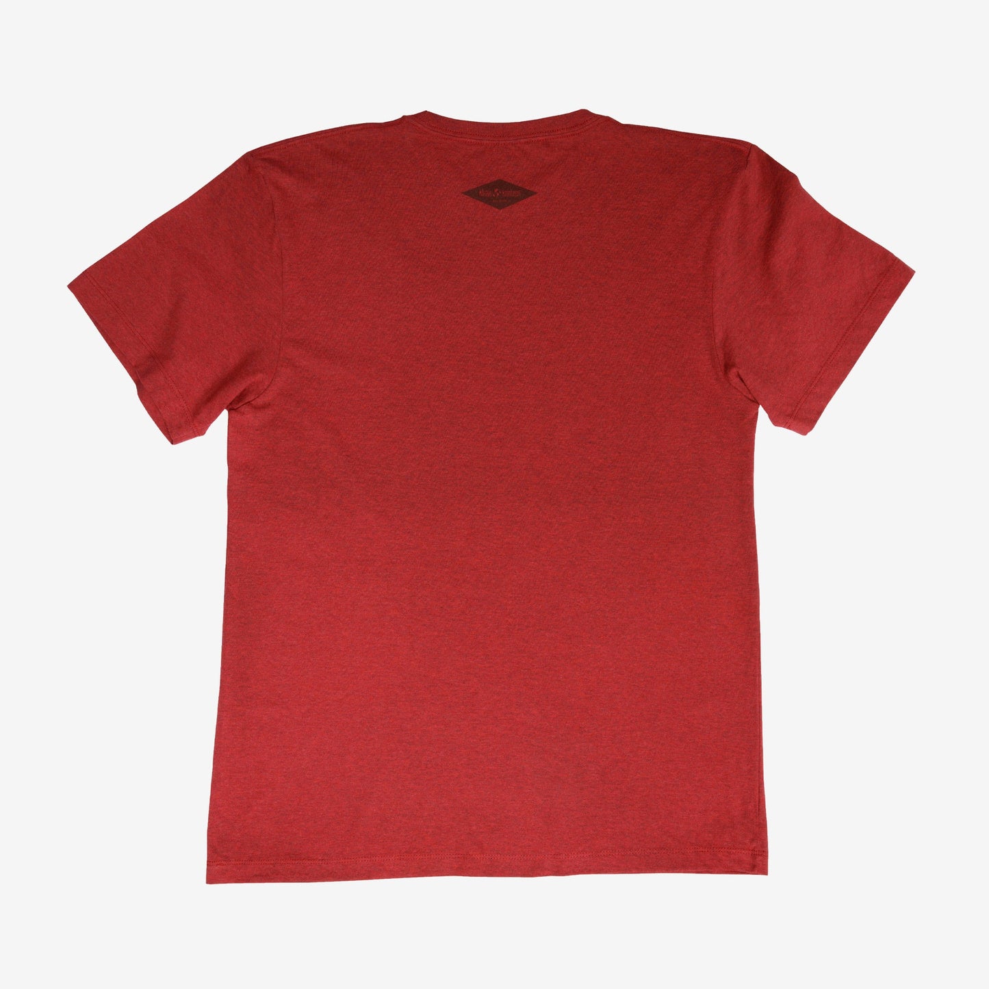 backyard-t-shirt-p2 Shirt_Mtn_Back.jpg